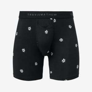 Rome Around Boxer